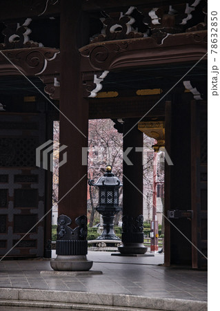 東本願寺の春　2021 78632850