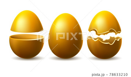 Golden eggshell illustration Golden eggshell illustration 78633210