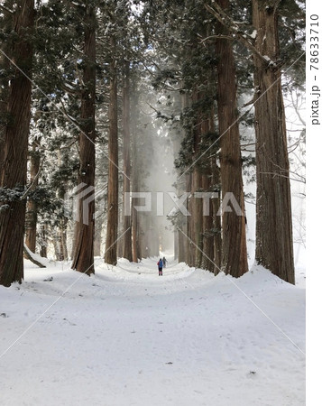 杉並木の中の雪道 78633710