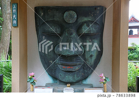上野恩賜公園　上野大仏 78633898