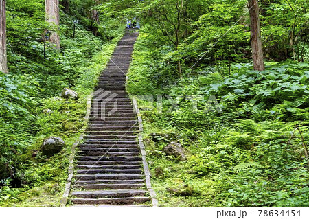 初夏の出羽三山神社 羽黒山の杉並木と継子坂 山形県鶴岡市 初夏の出羽三山神社 羽黒山の杉並木と継子坂 山形県鶴岡市 78634454