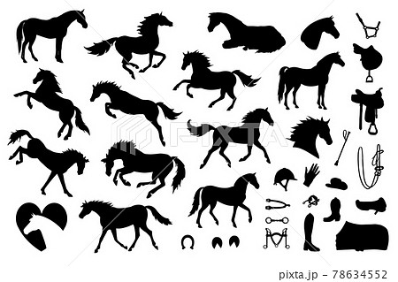 Vector set of horse and equestrian equipment Vector set of horse and equestrian equipment 78634552