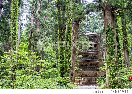 初夏の出羽三山神社 五重塔と杉並木 山形県鶴岡市 初夏の出羽三山神社 五重塔と杉並木 山形県鶴岡市 78634911