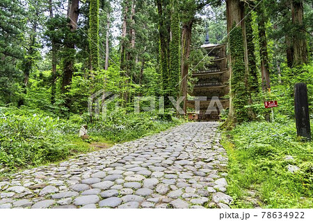 初夏の出羽三山神社　五重塔と杉並木　山形県鶴岡市 78634922