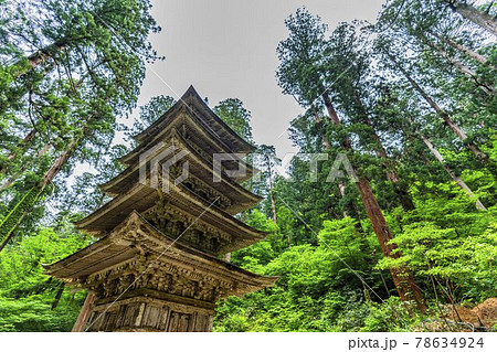 初夏の出羽三山神社　五重塔と杉並木　山形県鶴岡市 78634924