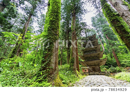 初夏の出羽三山神社 五重塔と杉並木 山形県鶴岡市 初夏の出羽三山神社 五重塔と杉並木 山形県鶴岡市 78634929