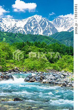 長野県 白馬村 北アルプスの清流の写真素材