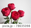 4本の薔薇 78635098