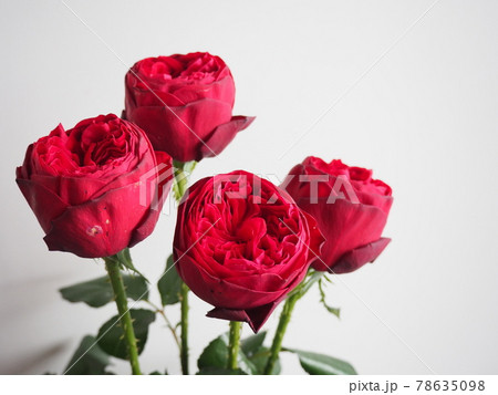 赤本 バラ売り⭕️ 赤本 まとめ売り バラ売り可能 バラ売り可】公立大学 過去問（赤本）等