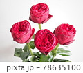 4本の薔薇 78635100