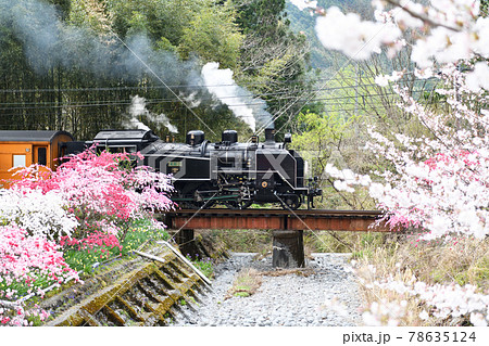 大井川鐵道沿線の旅 春満開の駿河徳山を走るSL 大井川鐵道沿線の旅 春満開の駿河徳山を走るSL 78635124