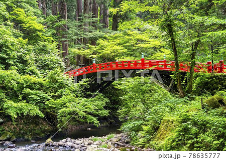初夏の出羽三山神社参道　祓川神橋と杉並木　山形県鶴岡市 78635777