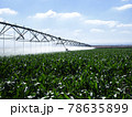 Smart Irrigation System for Farmers 78635899