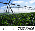 Automated Irrigation System for Farmers 78635906