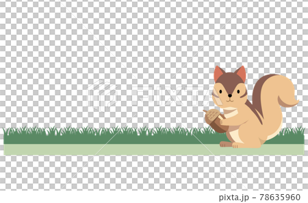 Illustration material of squirrel and grassland 78635960
