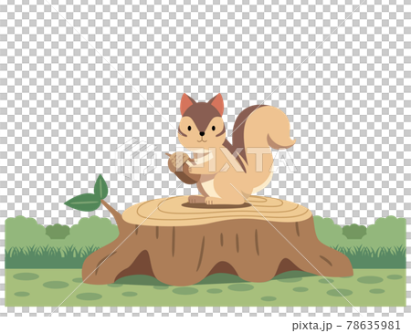Illustration material of squirrel and stump 78635981