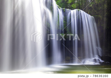 美しい水のカーテンに癒やされる鍋ヶ滝 （熊本県小国町） 78636160