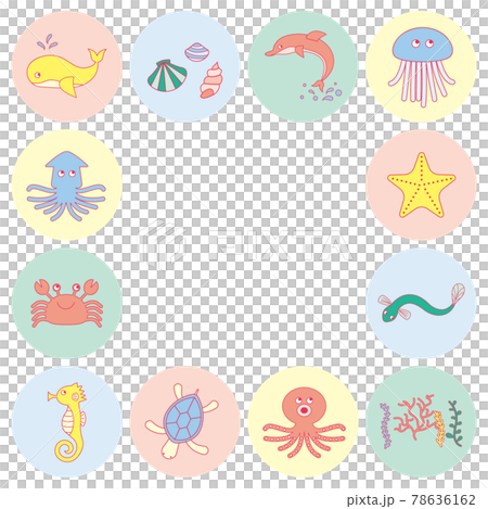 海の生き物のベクターイラストのセット 78636162