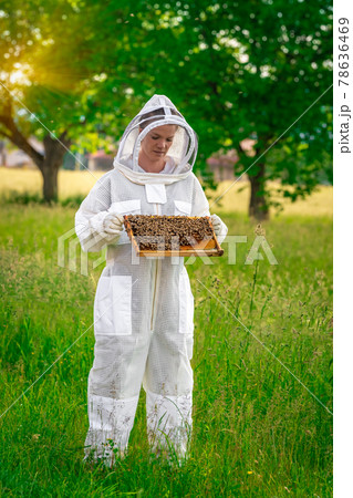 woman with a wax frame with bees in beekeeping woman with a wax frame with bees in beekeeping 78636469