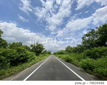 初夏のロード 78636986