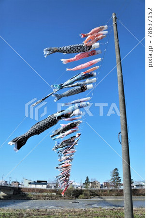 歴舟川清流鯉のぼり（北海道大樹町） 78637152