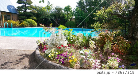花壇とプール 78637319