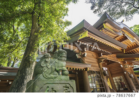 大國魂神社　随神門 　神社仏閣　狛犬　扉　ずいじんもん 78637667