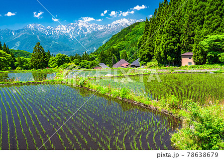 《長野県》日本の原風景・初夏の青鬼集落 78638679