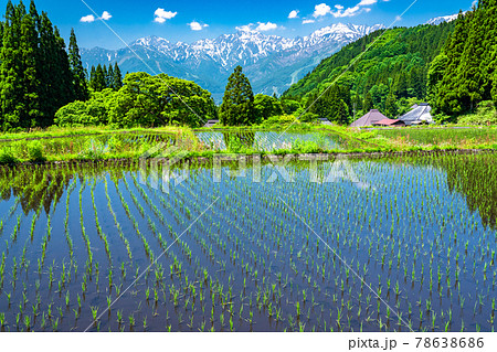 長野県 日本の原風景 初夏の青鬼集落の写真素材