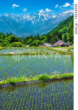 《長野県》日本の原風景・初夏の青鬼集落 《長野県》日本の原風景・初夏の青鬼集落 78638689