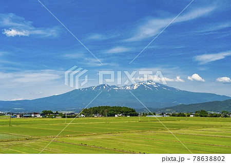 初夏の鳥海山(出羽富士)と休耕田 山形県酒田市 初夏の鳥海山(出羽富士)と休耕田 山形県酒田市 78638802