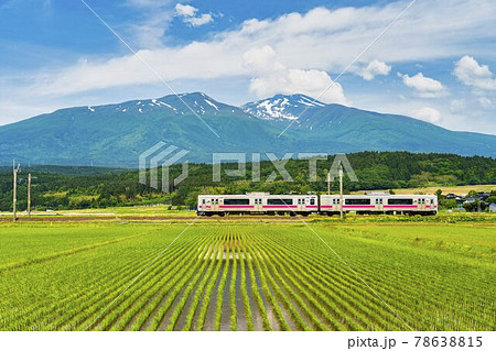 初夏の水田地帯を走る列車と鳥海山　山形県遊佐町 78638815