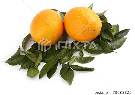 Oranges and leaves Oranges and leaves 78638829