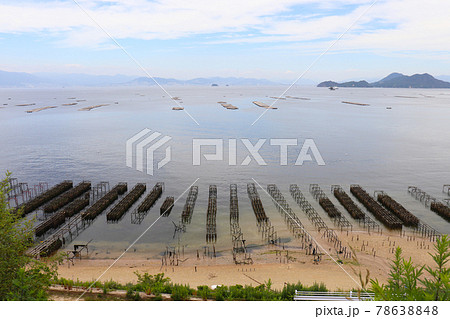 江田島(牡蠣養殖) 78638848