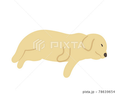 寝ている犬 大型犬のイラスト素材