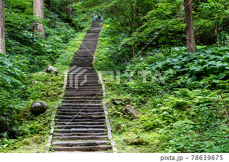 初夏の出羽三山神社 羽黒山の杉並木と継子坂 山形県鶴岡市 初夏の出羽三山神社 羽黒山の杉並木と継子坂 山形県鶴岡市 78639675