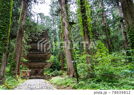 初夏の出羽三山神社 五重塔と杉並木 山形県鶴岡市 初夏の出羽三山神社 五重塔と杉並木 山形県鶴岡市 78639812
