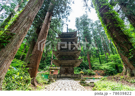 初夏の出羽三山神社 五重塔と杉並木 山形県鶴岡市 初夏の出羽三山神社 五重塔と杉並木 山形県鶴岡市 78639822