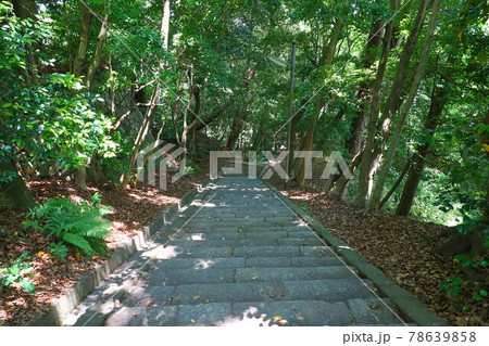 石清水八幡宮の新緑と石段 78639858