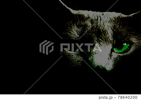 猫　ロシアンブルー 78640200