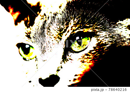 猫　ロシアンブルー 78640216