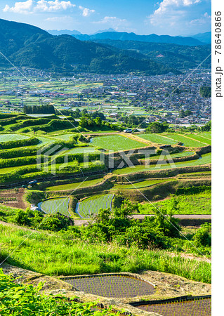《長野県》姨捨の棚田・田植えシーズン 78640866