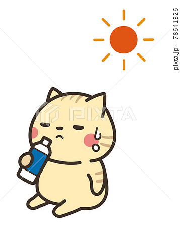 熱中症対策をする犬　水を飲む 78641326