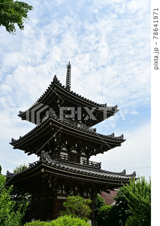 雲が晴れた三重塔 78641971