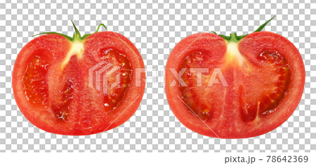 トマト イラスト リアル 半分 断面のイラスト素材