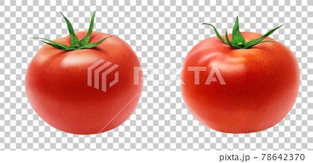 トマト イラスト リアルのイラスト素材