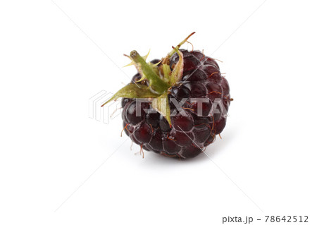 Black raspberry (Rubus occidentalis) isolated on white 78642512