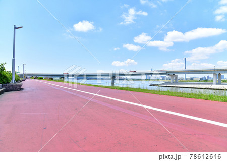 中川／清砂大橋付近／健康の道／サイクリングコース(東京都江戸川区)【2021.6】 78642646