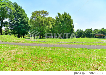 都立 武蔵野の森公園／遊びの広場(東京都三鷹市)【2021.6】 78643367