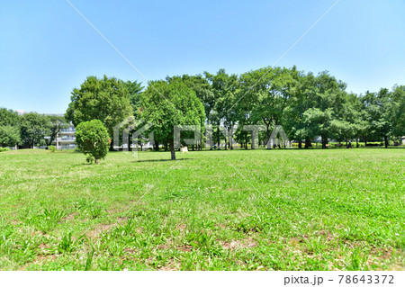 都立 武蔵野の森公園/遊びの広場(東京都三鷹市)【2021.6】 都立 武蔵野の森公園/遊びの広場(東京都三鷹市)【2021.6】 78643372